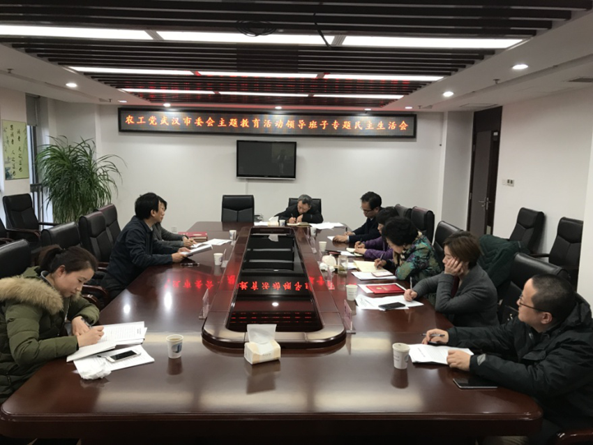 市委会专题民主生活会1_副本