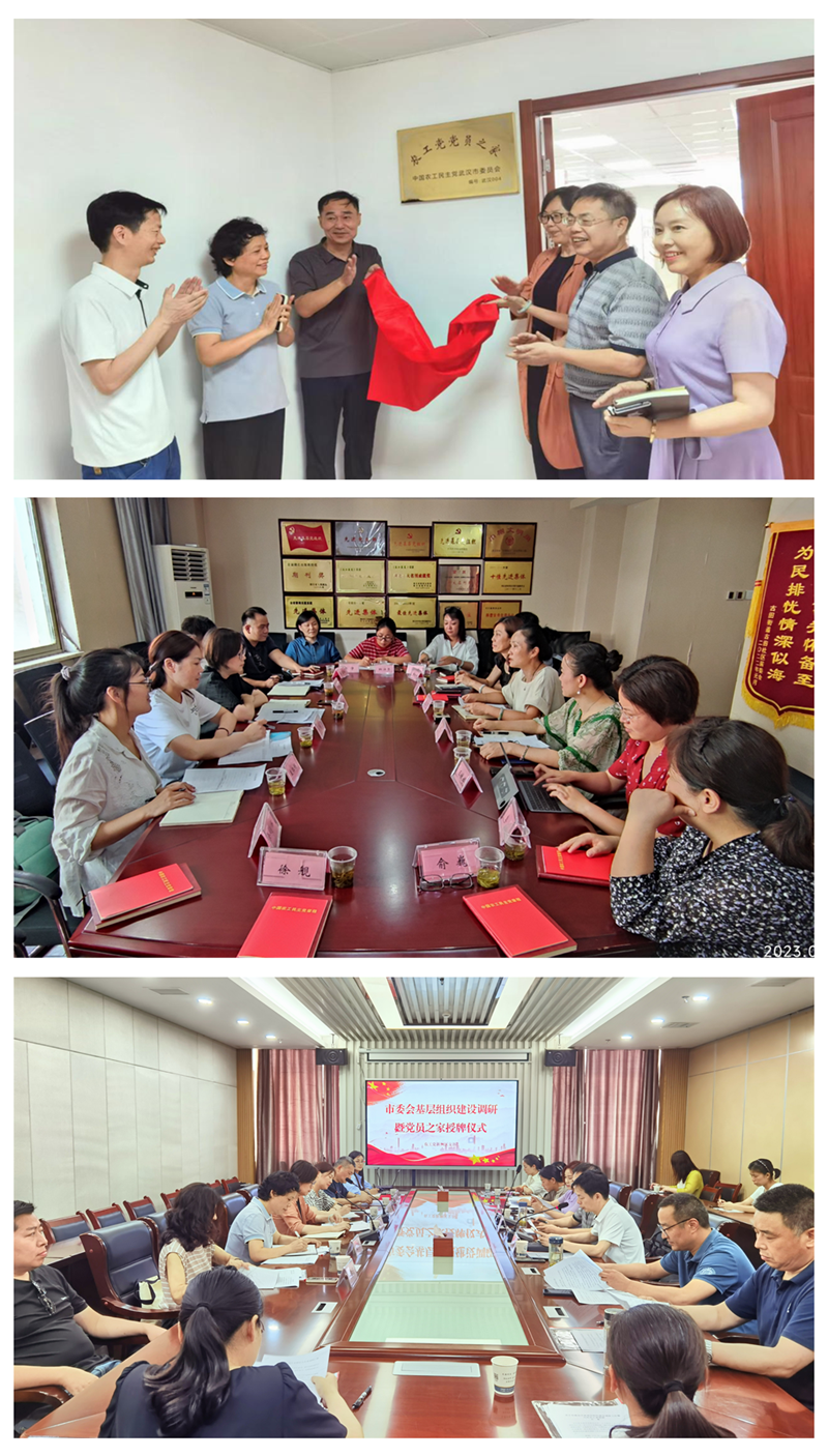 市委会调研江汉区工委新洲支部暨新洲支部党员之家挂牌拼图_副本