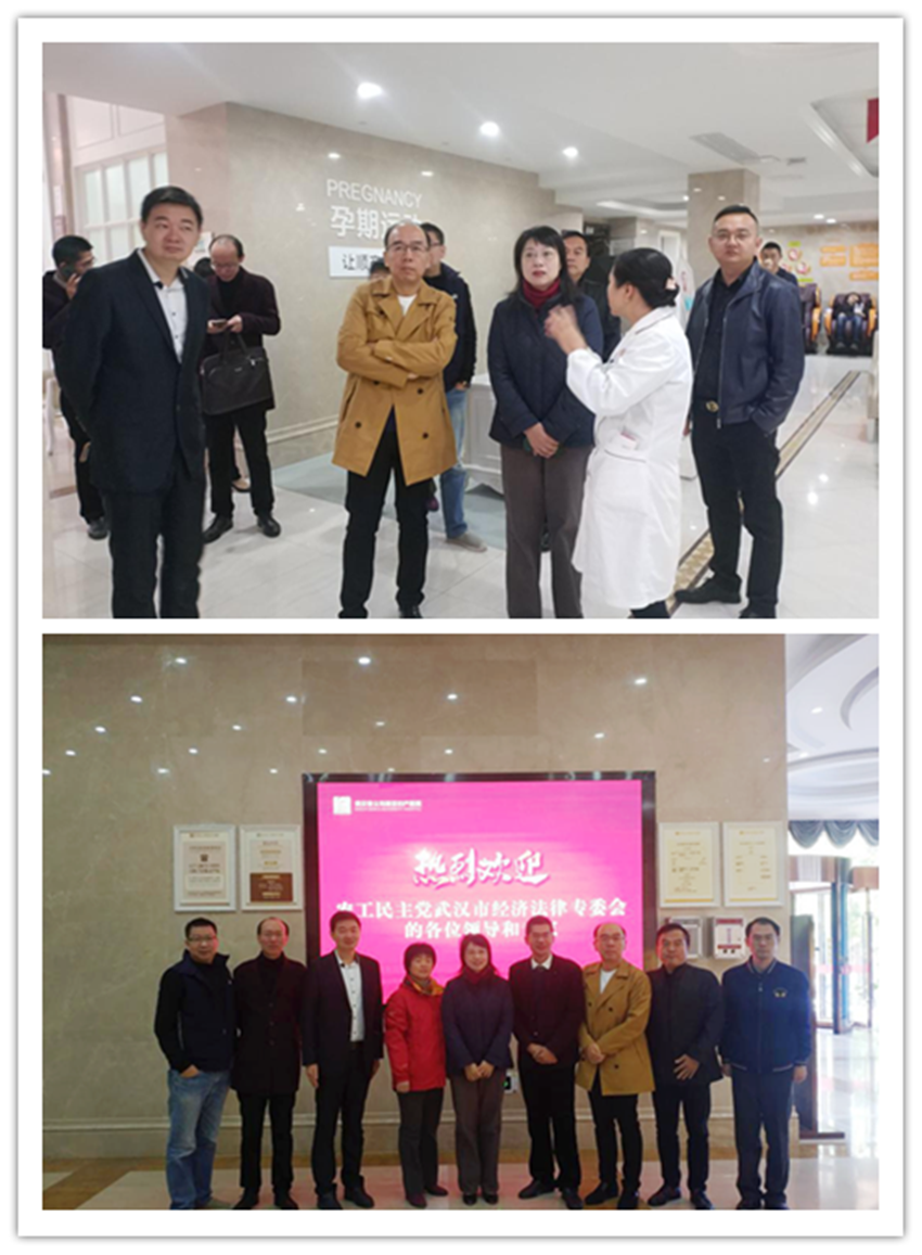 市委会经法专委会开展主题教育活动拼图_副本