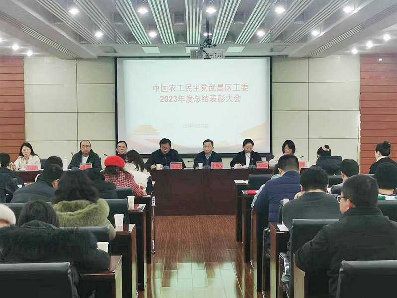 武昌区工委总结表彰大会 (1)_副本