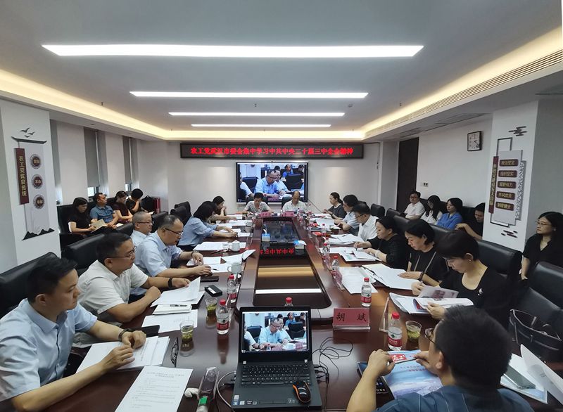 市委会集中学习中共中央二十届三中全会精神_副本