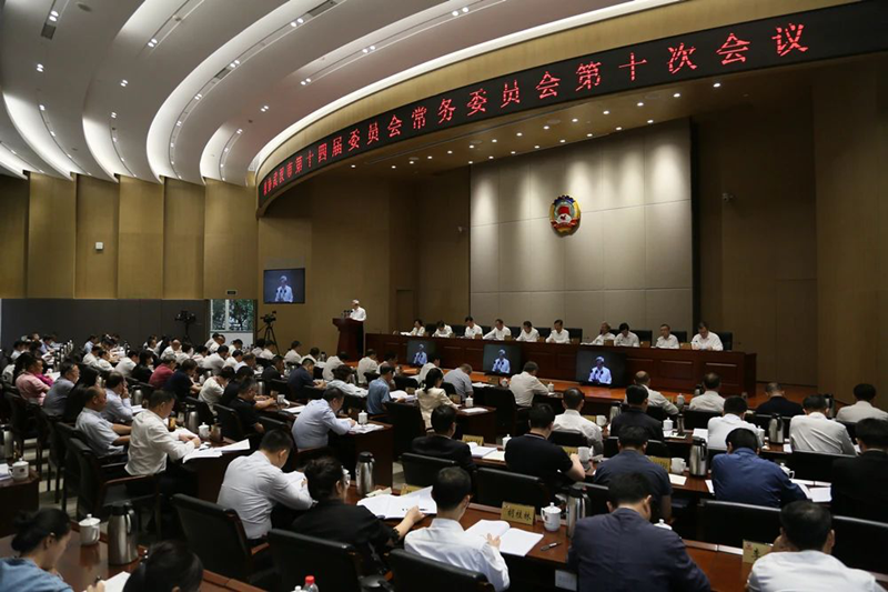 王岚代表农工党界别在市政协常委会上建言_副本