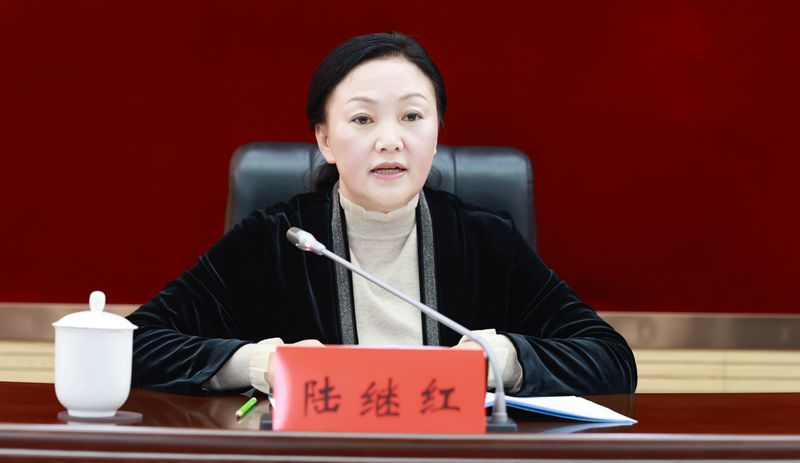 陆继红作工作总结_副本