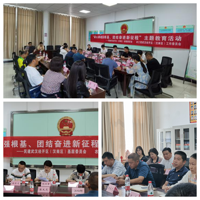 农工民建经开区工委联合开展主题教育暨长江大保护座谈会拼图_副本