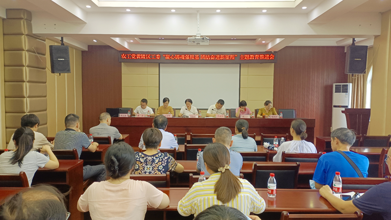 黄陂区工委主题教育推进会1_副本