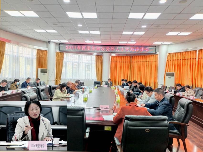 黄陂区工委参加区委民主协商会拼图