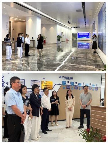 20250526市委会课题组赴洪山区调研 (2)_副本