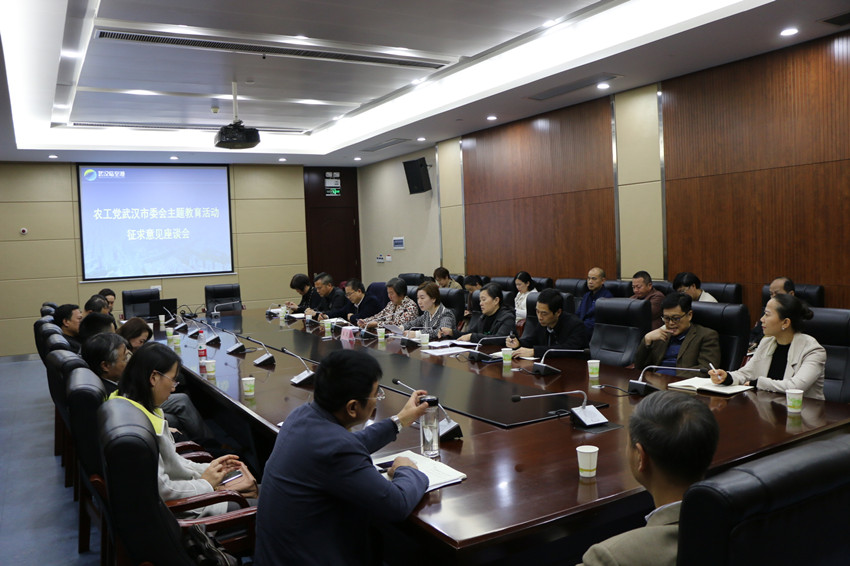 硚口东西湖区工委参加主题教育活动征求意见座谈会 (1)_副本