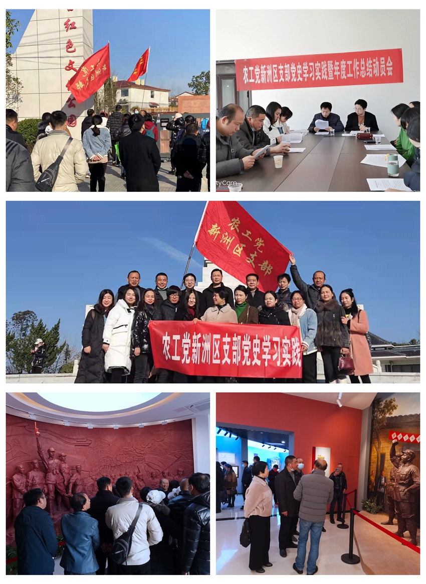 新洲区支部党史学习实践活动_拼图_副本
