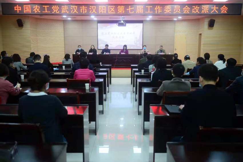 汉阳区工委改派大会_副本