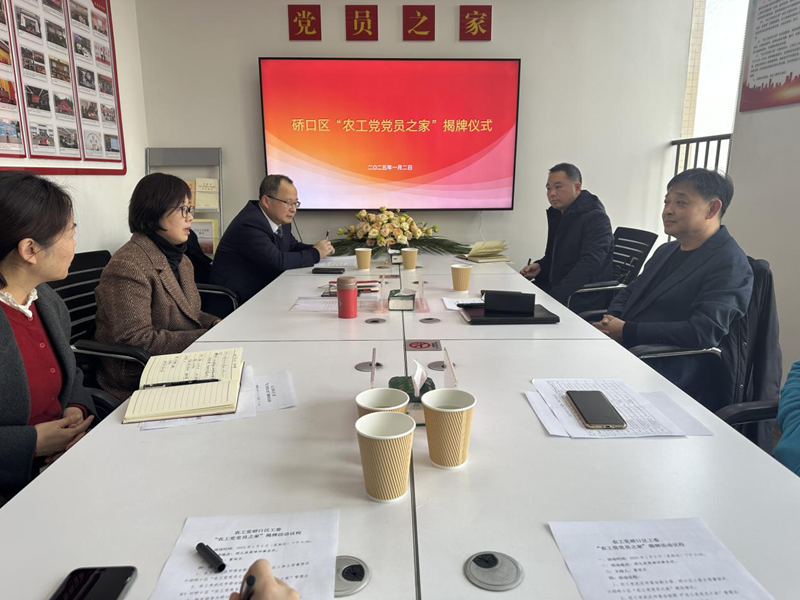 硚口区工委党员之家挂牌2_副本