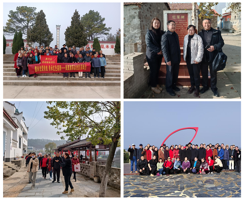新洲支部开展主题教育学习活动拼图