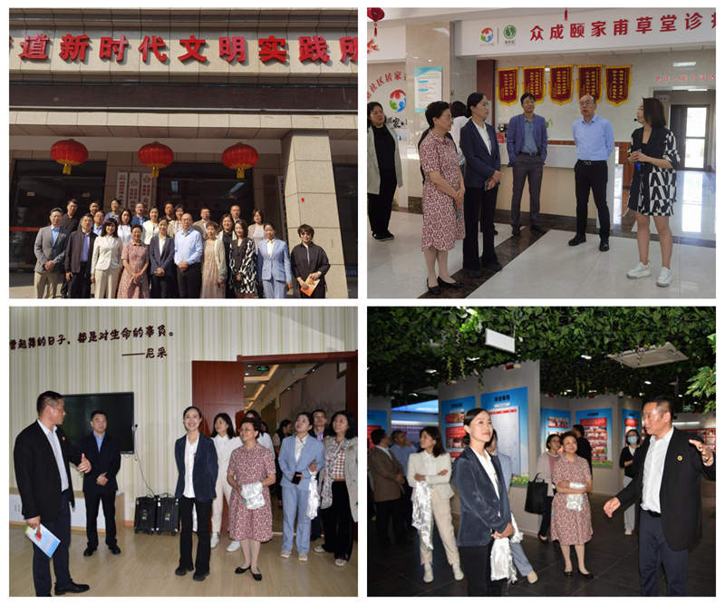 农工党中央来汉调研社会服务工作拼图