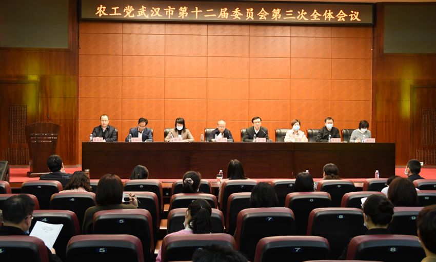市委会召开十二届委员会三次全委会议_副本