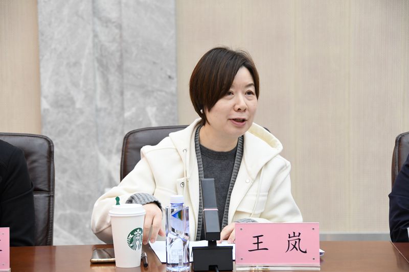 王岚讲话_副本