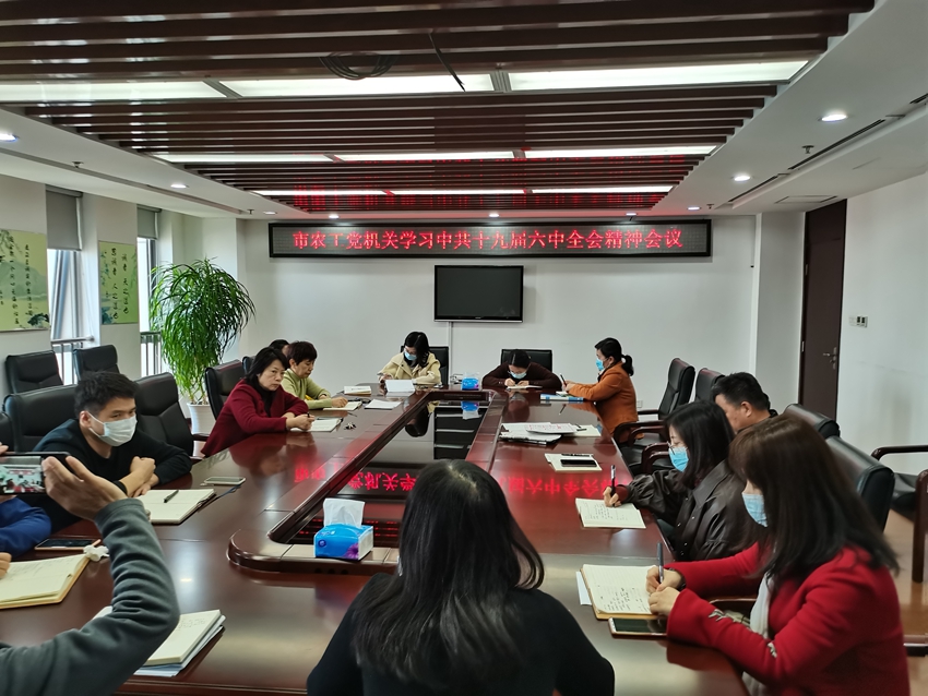 市委会机关组织学习十九届六中全会精神_副本