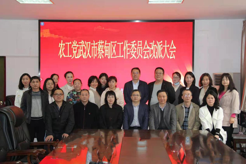 蔡甸区工委改派大会_副本