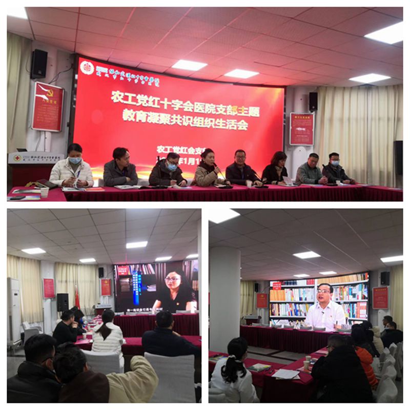 红会支部组织生活会拼图_副本