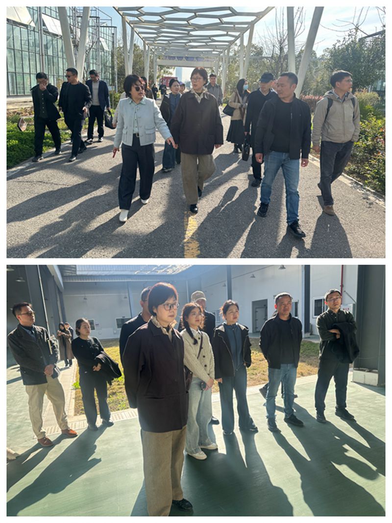 20250321市委会拜访市农科院暨召开2025年经济法律专委会工作会议拼图_副本