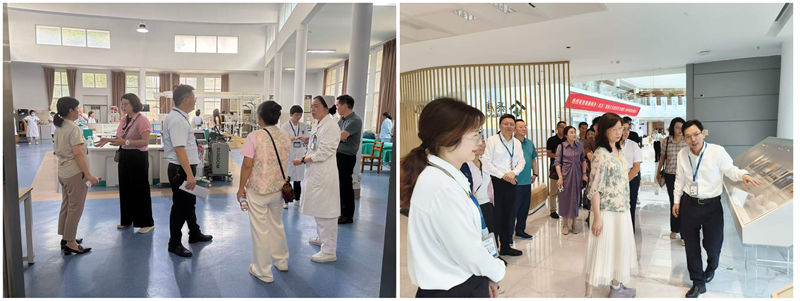 中山市委会来汉调研拼图_副本