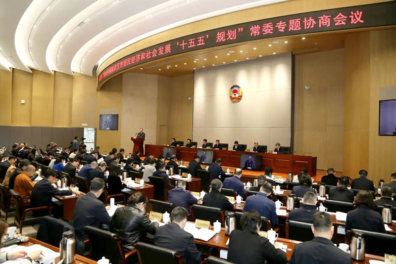 20251112王岚在政协常委专题协商会上发言_副本