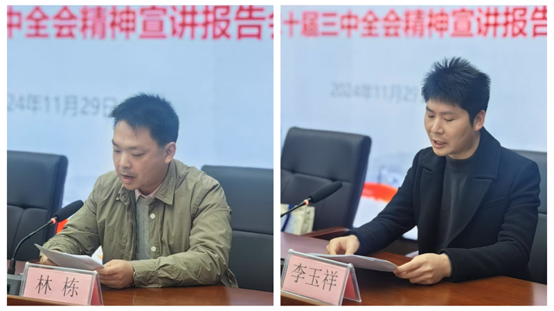 新洲支部总结表彰大会拼图_副本