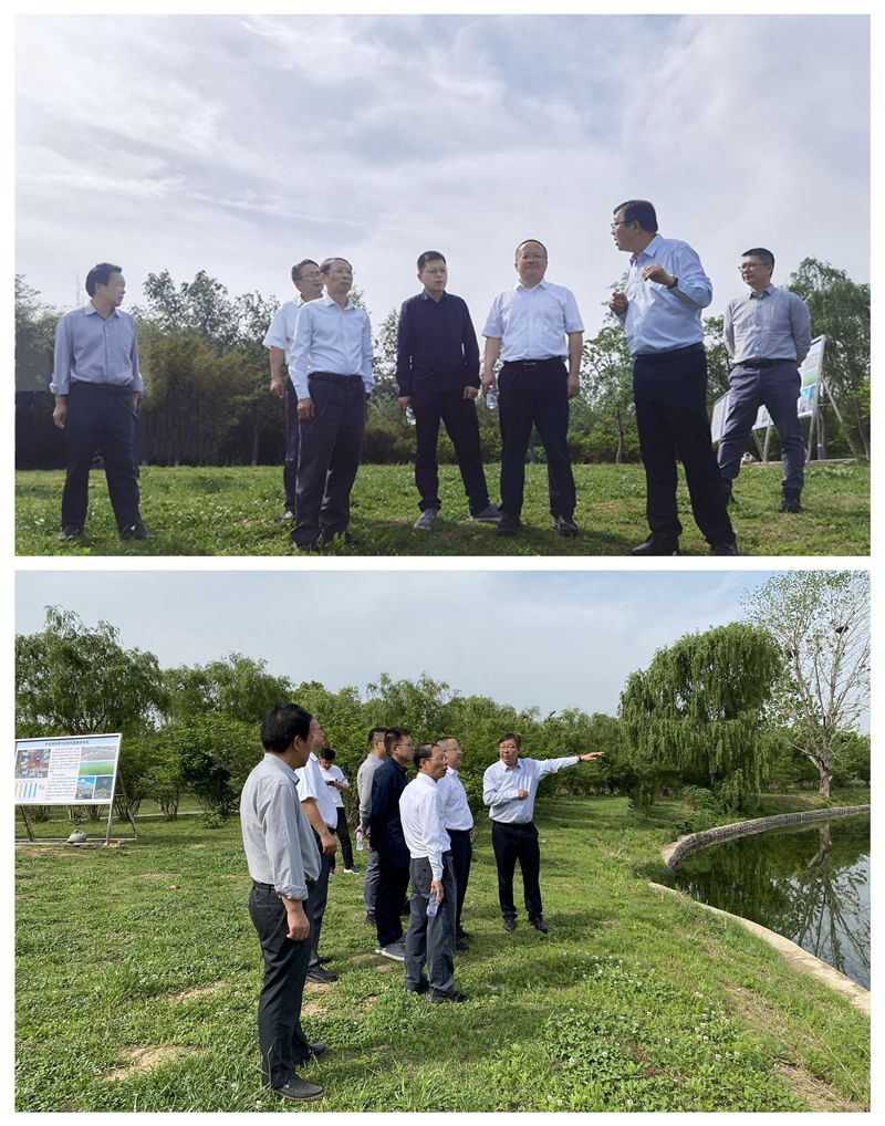 20250417缪小平赴东西湖区开展长江高水平保护提质增效行动专项民主监督工作 拼图_副本