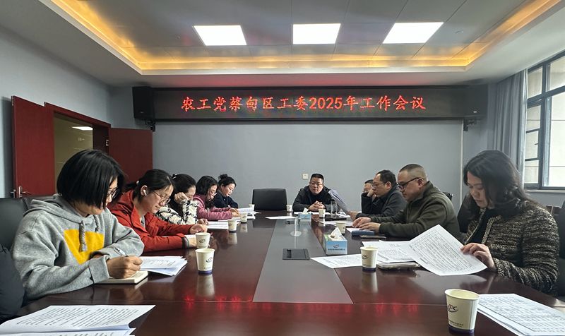 20250320蔡甸区工委2025年工作会议_副本
