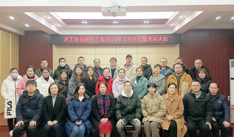 黄陂区工委总结表彰大会1_副本