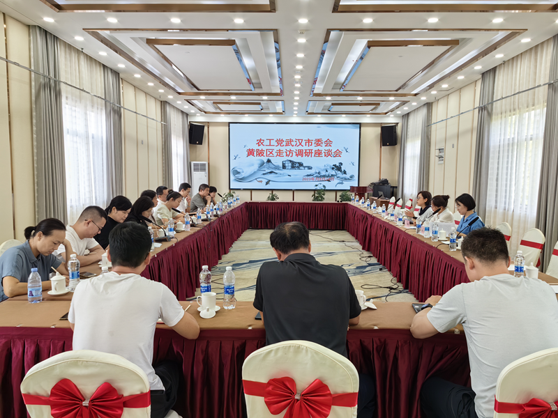 市委会调研黄陂区工委1_副本