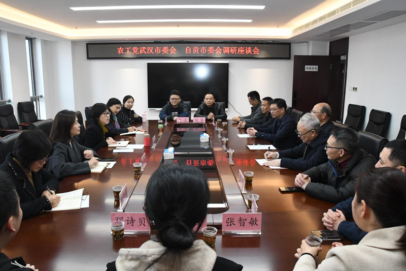 自贡市委会来函调研_副本