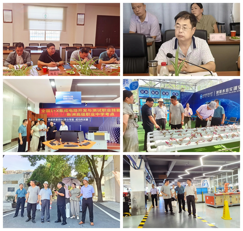 新洲支部调研走访活动拼图_副本