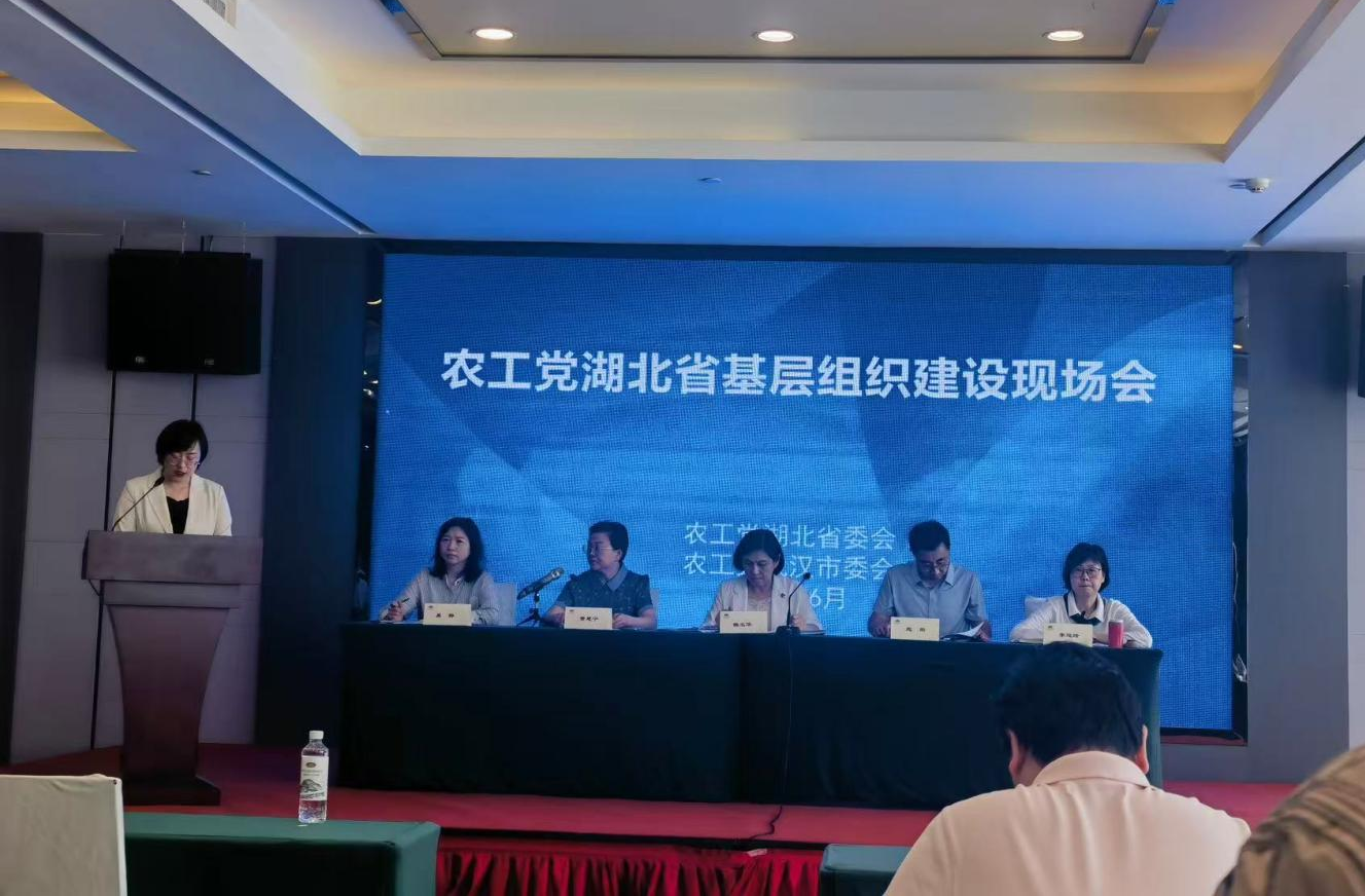 图片16