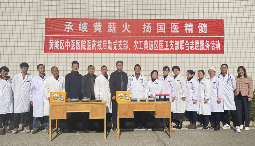 黄陂区工委医卫支部参加膏方节义诊_副本