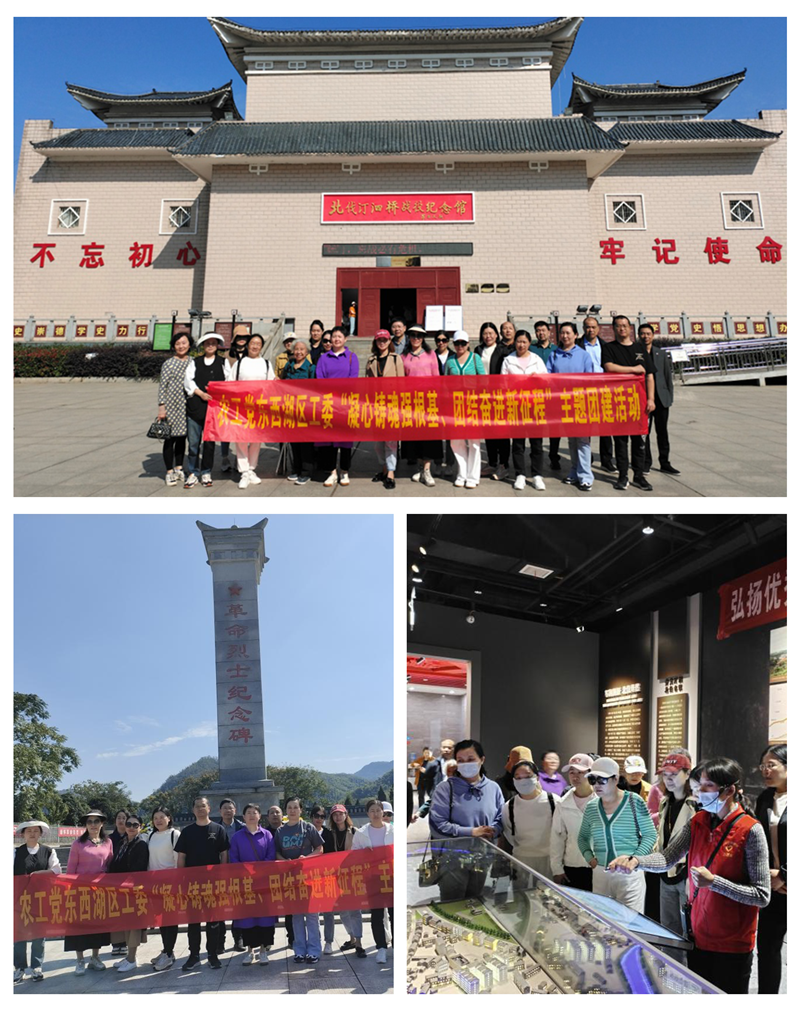 东西湖区工委主题教育团建拼图_副本