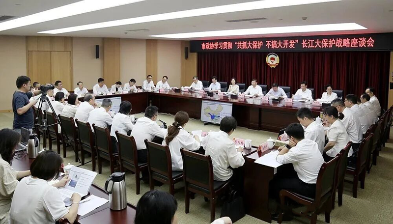 20260605李运玲在市政协发言1_副本