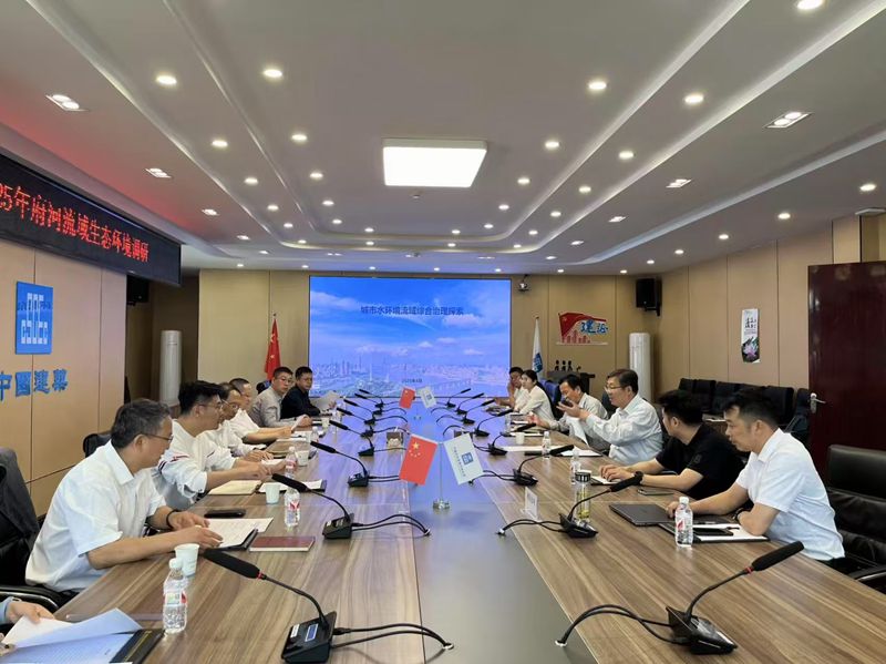 20250417缪小平赴东西湖区开展长江高水平保护提质增效行动专项民主监督工作 (1)_副本
