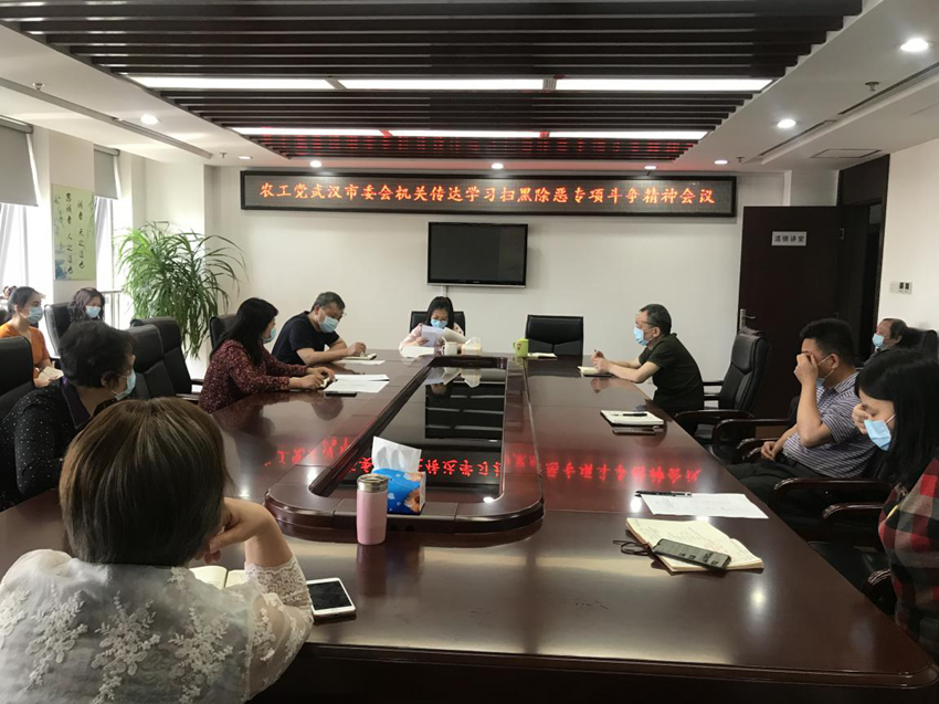市委会机关学习传达扫黑除恶会议精神_副本