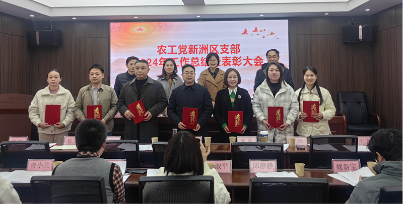 新洲支部总结表彰大会_副本