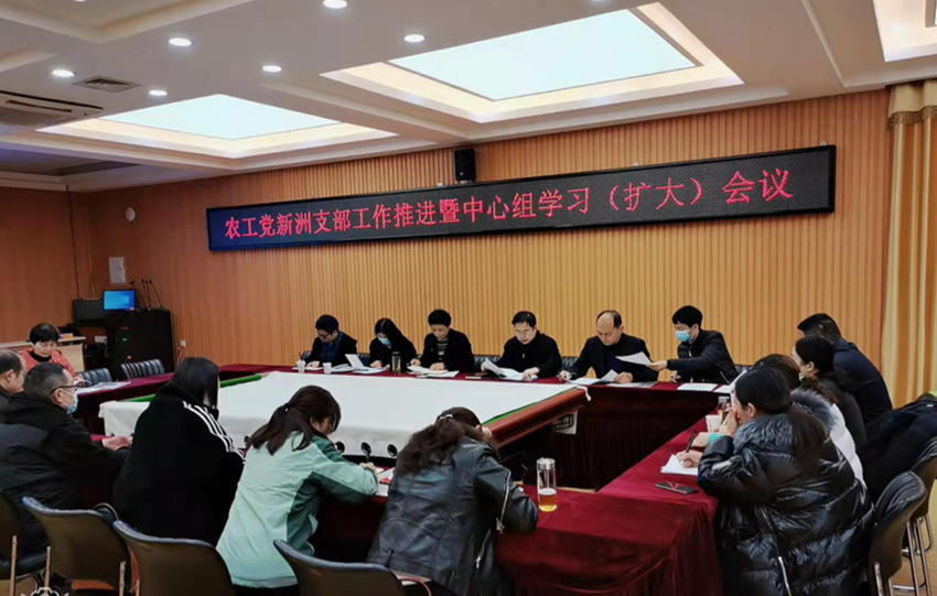 新洲区支部召开工作推进会暨中心学习组会议_副本