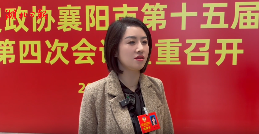 图片8