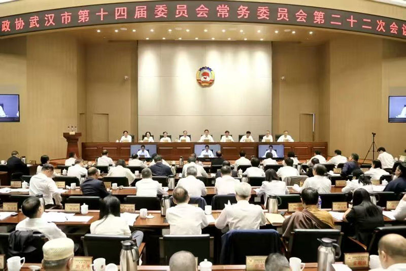 20250924舒细记在政协武汉市第十四届委员会常务委员会第二十二次会议上发言_副本