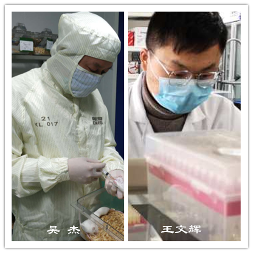 吴杰王文辉拼图_副本