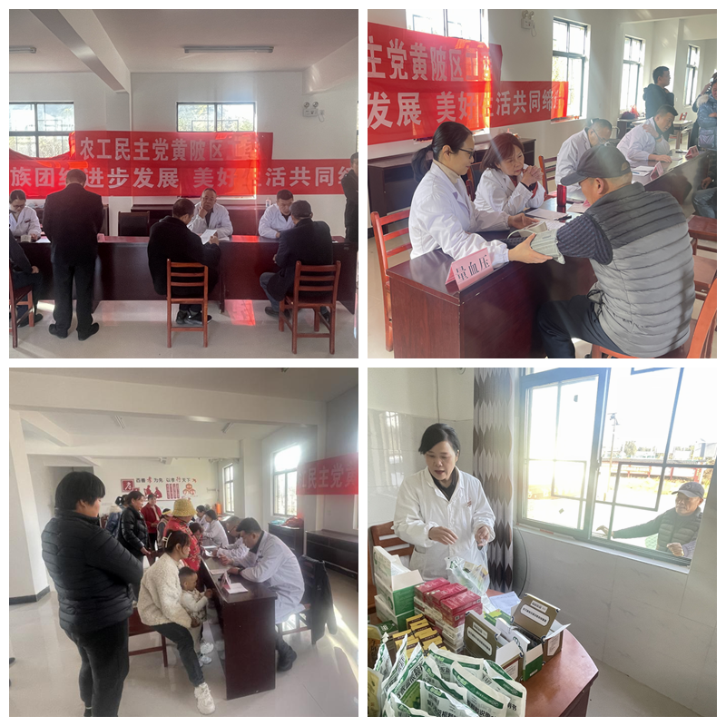黄陂区工委义诊下乡拼图
