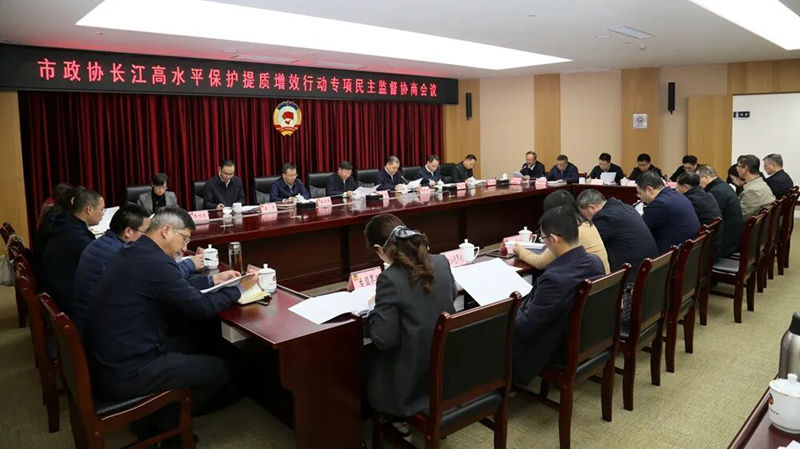 20251118李运玲在市政协专项民主监督线上会上发言_副本