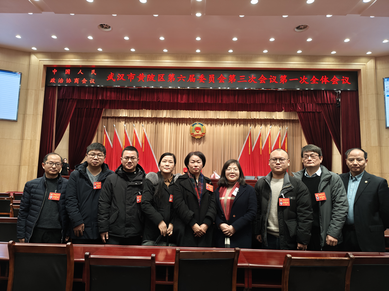 黄陂区工委两会纪实1_副本